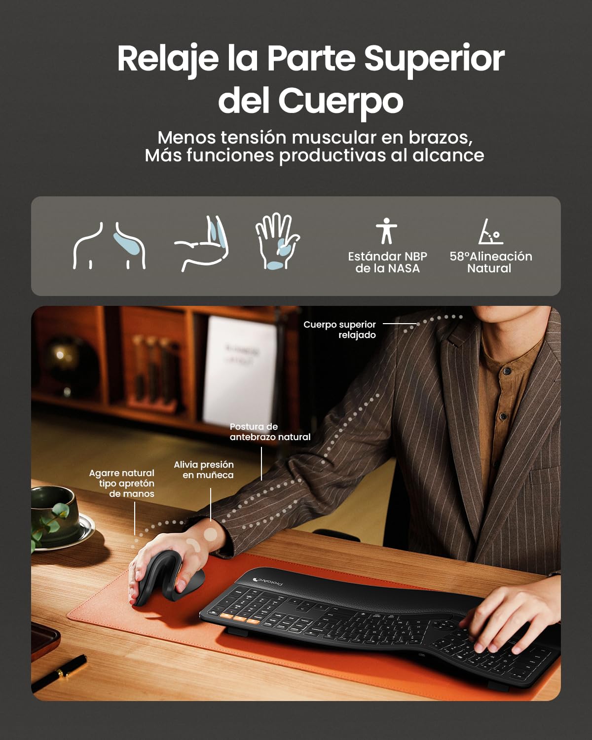 ProtoArc Ratón Ergonómico, EM11 NL Inalámbrico Mini Vertical Ratón óptico Recargable con 3 Puertos de Dispositivo (2*Bluetooth y USB), 3 dpi Ajustables para Ordenador, iPad, Mac, Windows - Negro – para oposiciones – Material de estudio – OpoMarket