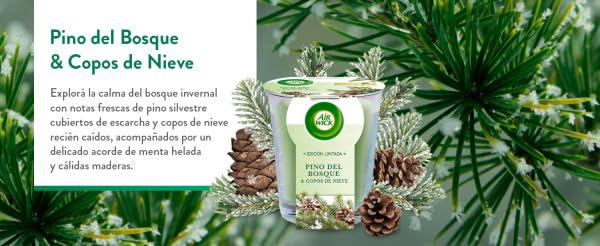 Air Wick Vela Aromática Perfumada con aroma a Pino del Bosque y Copos de nieve 105gr – para oposiciones – Material de estudio – OpoMarket