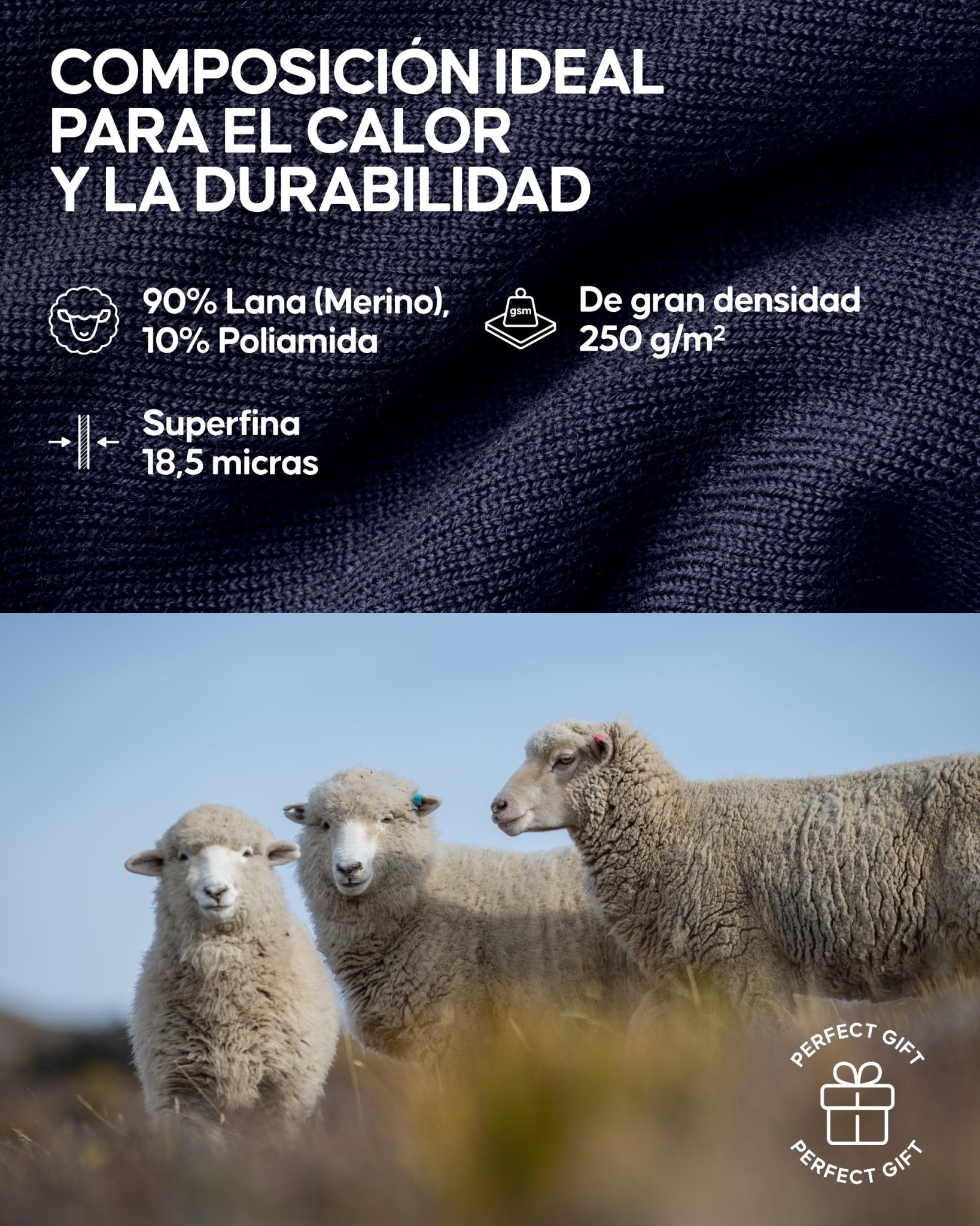 DANISH ENDURANCE Camiseta Térmica de Lana Merino para el Frío Extremo para Hombre, Negro, L – Ropa para oposiciones – Material de estudio – OpoMarket