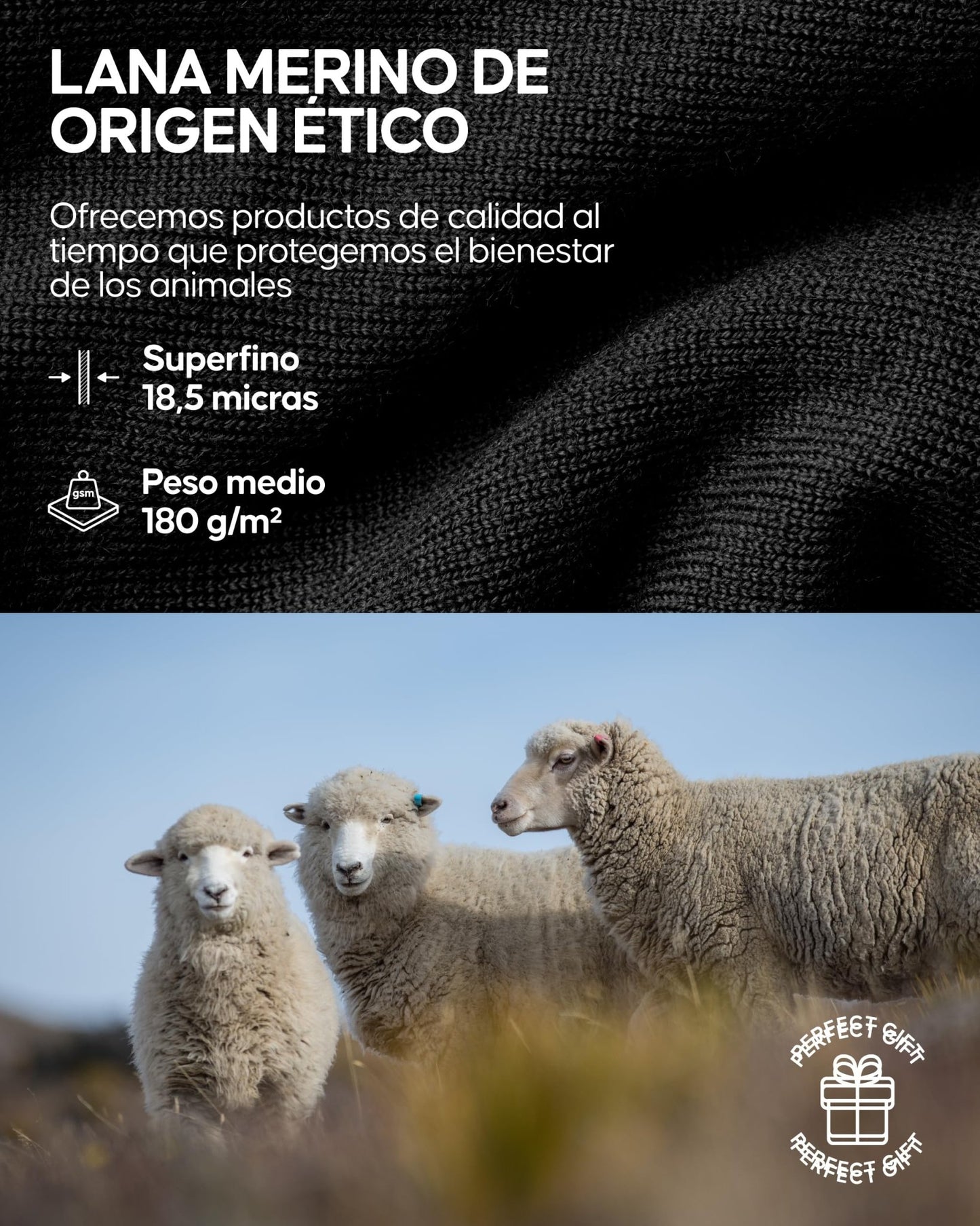 DANISH ENDURANCE Conjunto de Lana Merina para Hombre, Camiseta y Pantalon, Capa Base Premium, Negro, 3XL – Ropa para oposiciones – Material de estudio – OpoMarket