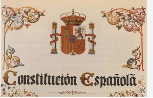 Resumen derechos y deberes fundamentales Constitución