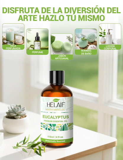 Aceite esencial de eucalipto natural para difusor