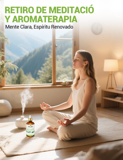 Aceite esencial de eucalipto aroma fresco y limpio