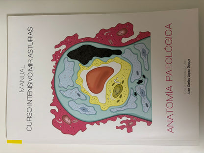 colección de libros MIR Asturias usados teoría y práctica