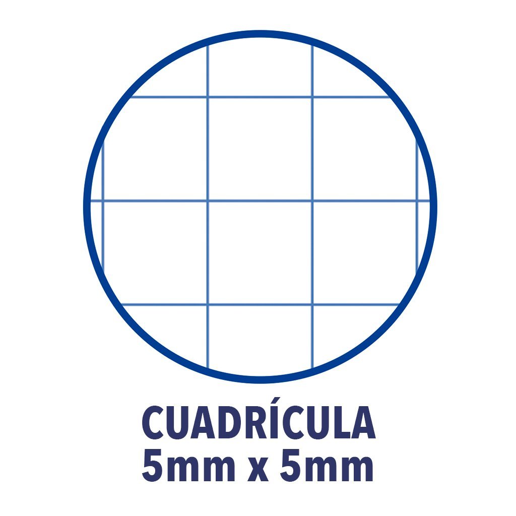 Cuaderno cuadriculado A4 con cuadrícula 5x5