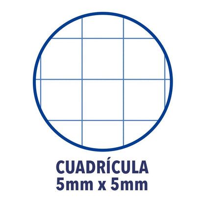 Cuaderno cuadriculado A4 con cuadrícula 5x5