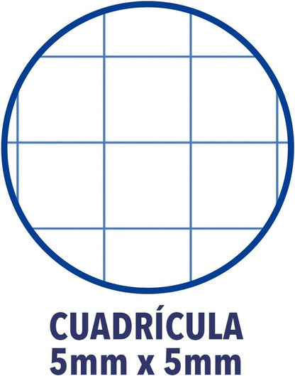 Cuaderno cuadriculado A4 para estudio y oposiciones