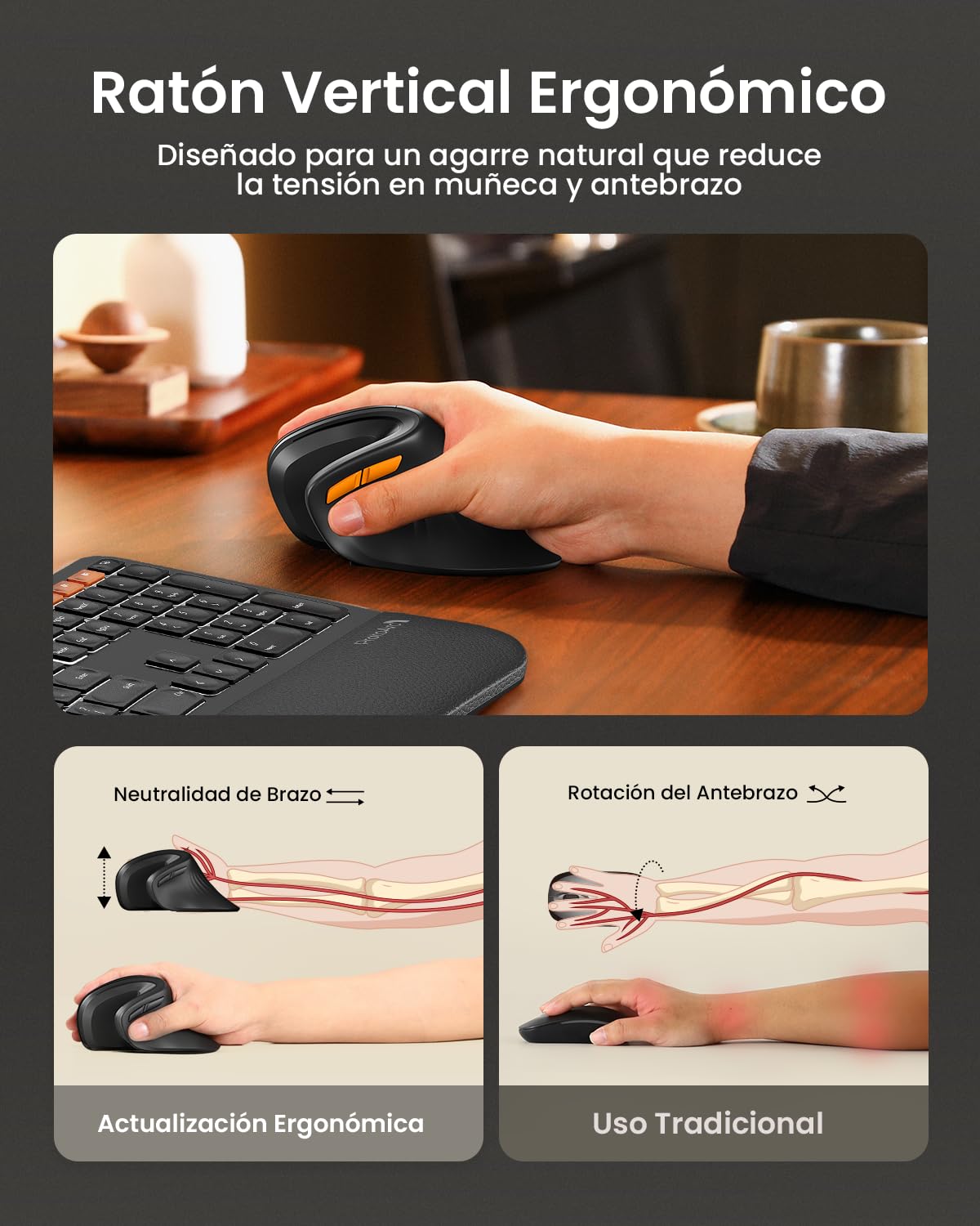 ProtoArc Ratón Ergonómico, EM11 NL Inalámbrico Mini Vertical Ratón óptico Recargable con 3 Puertos de Dispositivo (2*Bluetooth y USB), 3 dpi Ajustables para Ordenador, iPad, Mac, Windows - Negro – para oposiciones – Material de estudio – OpoMarket