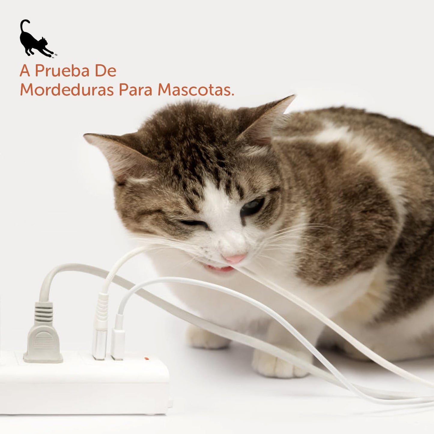 organizador de cables con gato