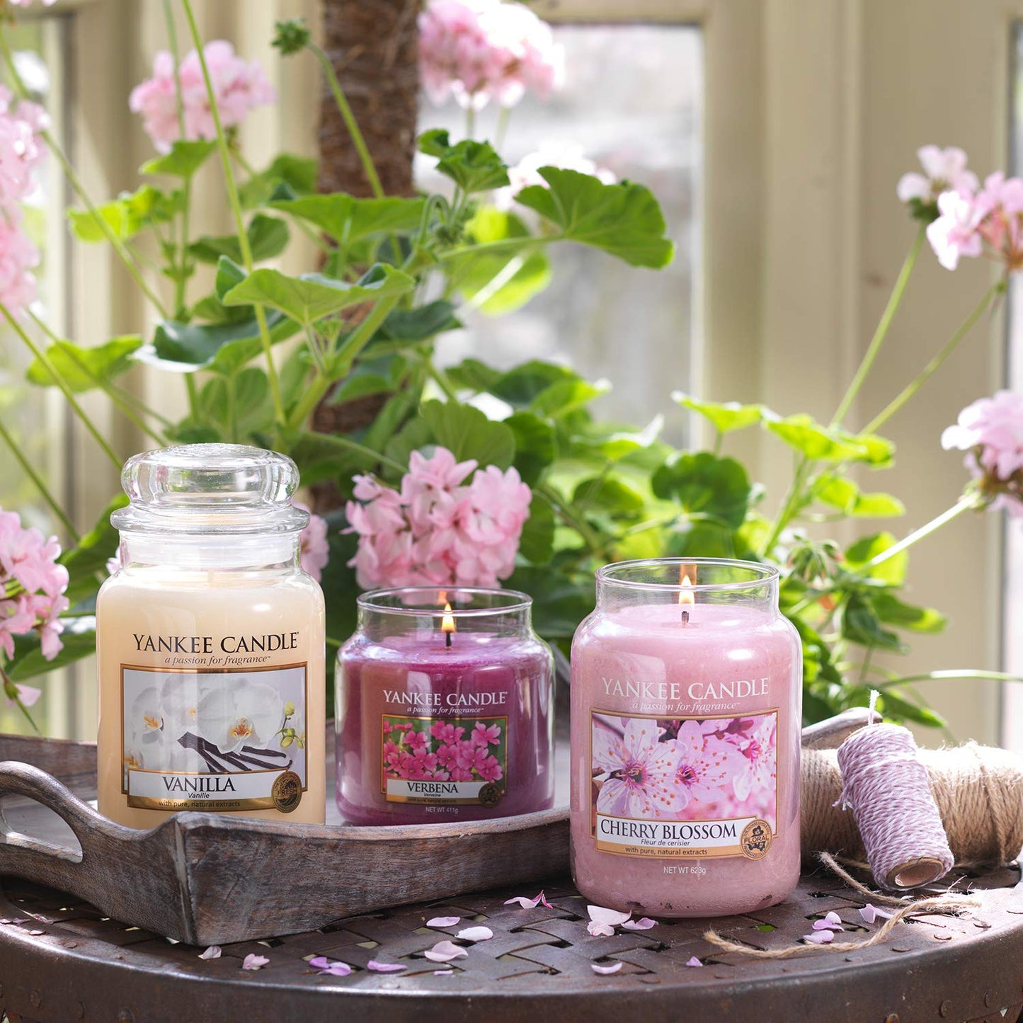 Vela aromática Yankee Candle | Cherry Blossom vela en tarro grande | Velas de larga duración: hasta 150 h | Regalos perfectos para mujeres – para oposiciones – Material de estudio – OpoMarket