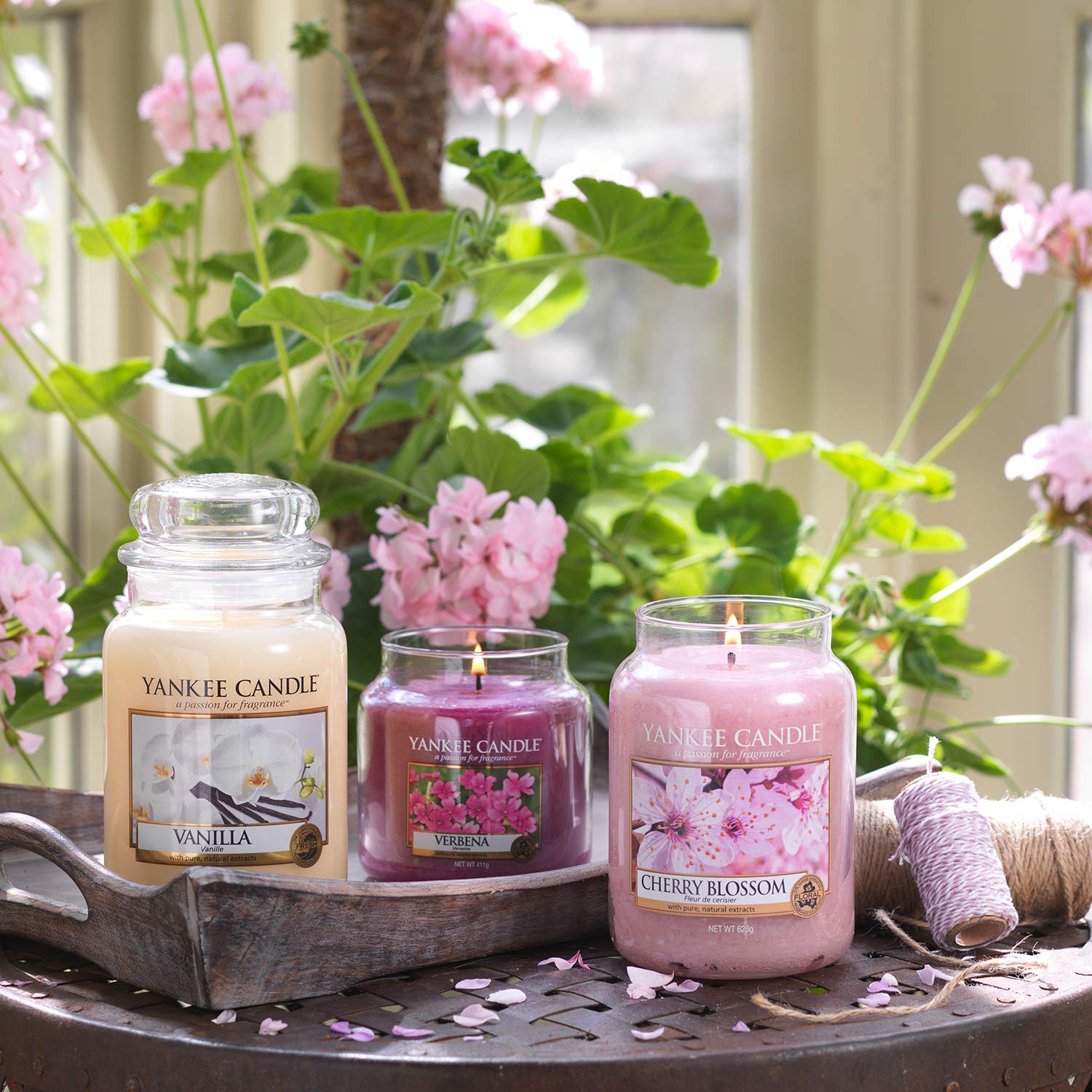 Vela aromática Yankee Candle | Cherry Blossom vela en tarro grande | Velas de larga duración: hasta 150 h | Regalos perfectos para mujeres – para oposiciones – Material de estudio – OpoMarket