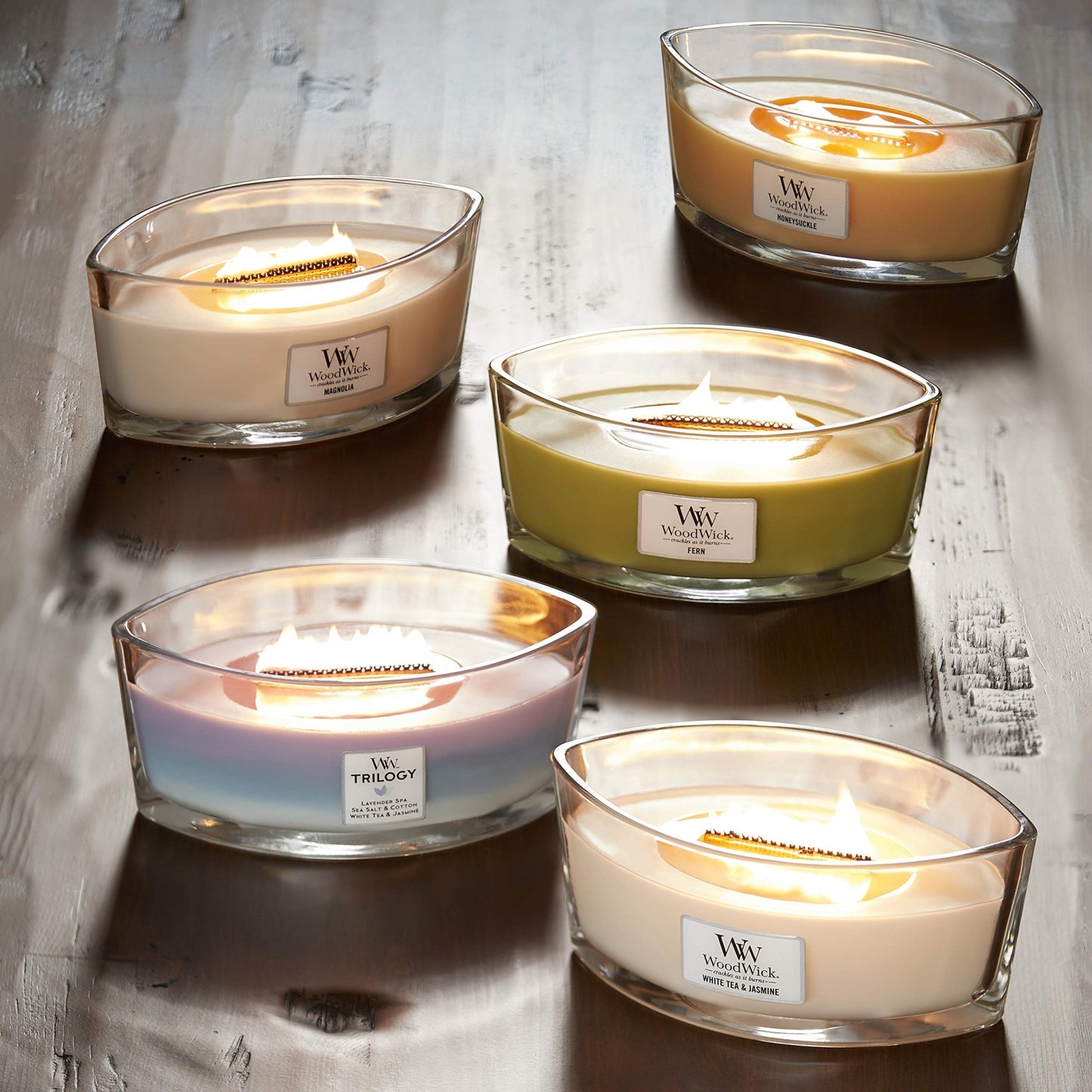 WoodWick vela aromática en forma de elipse, té blanco con jazmín – para oposiciones – Material de estudio – OpoMarket