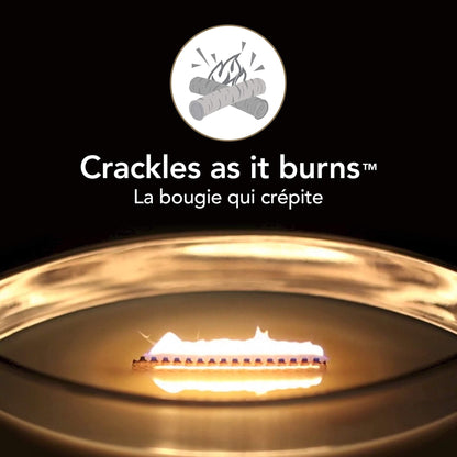 WoodWick vela aromática en forma de elipse, té blanco con jazmín – para oposiciones – Material de estudio – OpoMarket