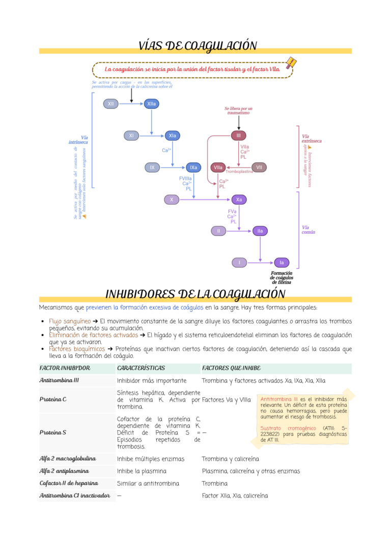 TEMA 2